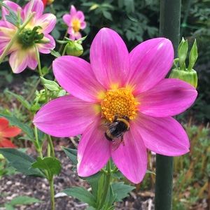 Meet your Posher, Jjennifer